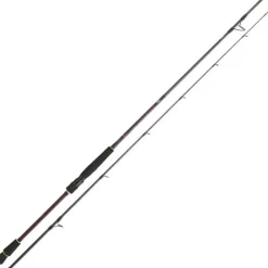 Canne Spinning Daiwa Infeet Seabass 2.44m 7-28g