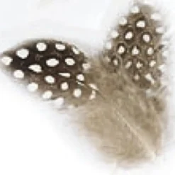 Fly tying plumes jmc pintade naturelle