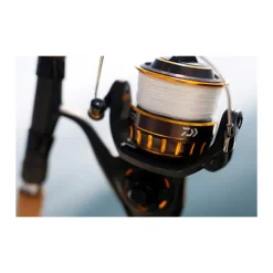 Moulinet daiwa bg black gold 8000