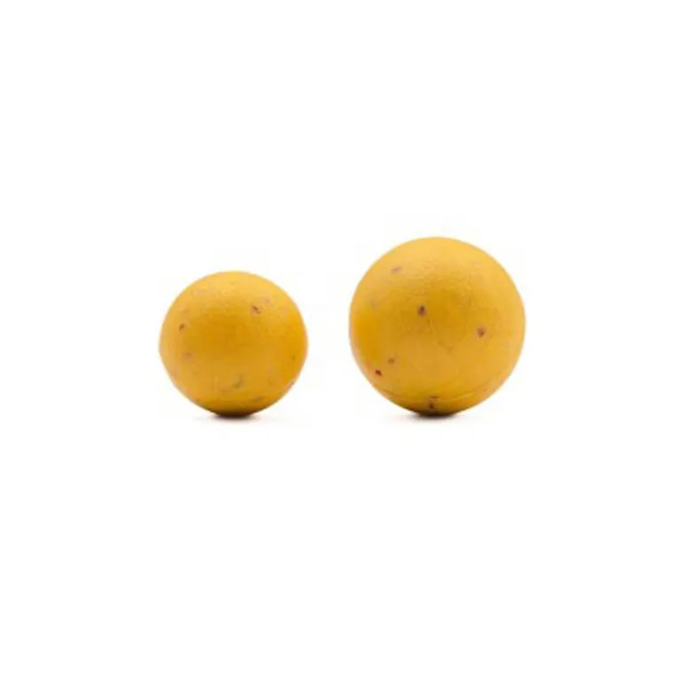 Wafter Korda Plastic Wafter Essentiel Cell
